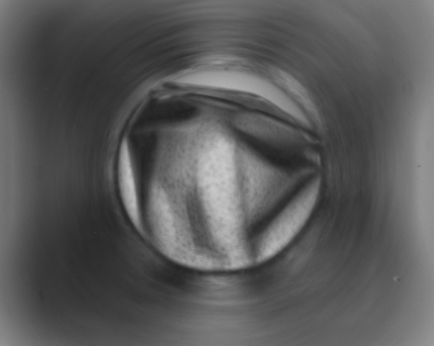 X0000088731330200706282116