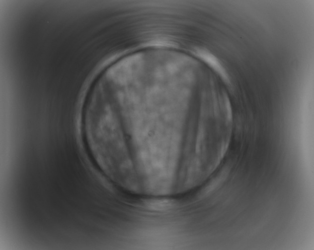 X0000088731331200706282116