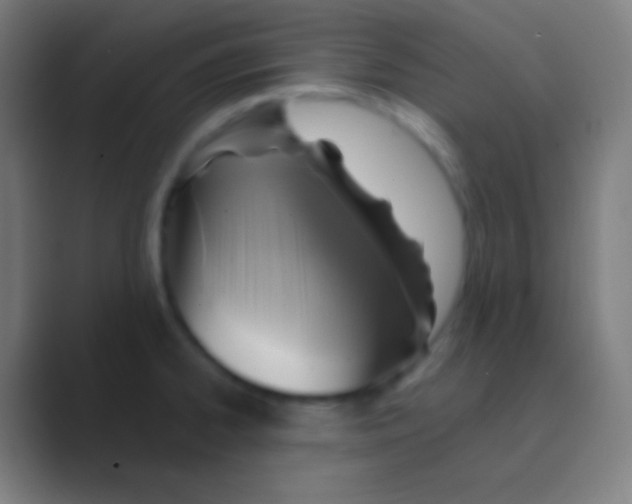 X0000088731334200706282116