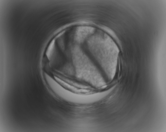 X0000088731335200706282116