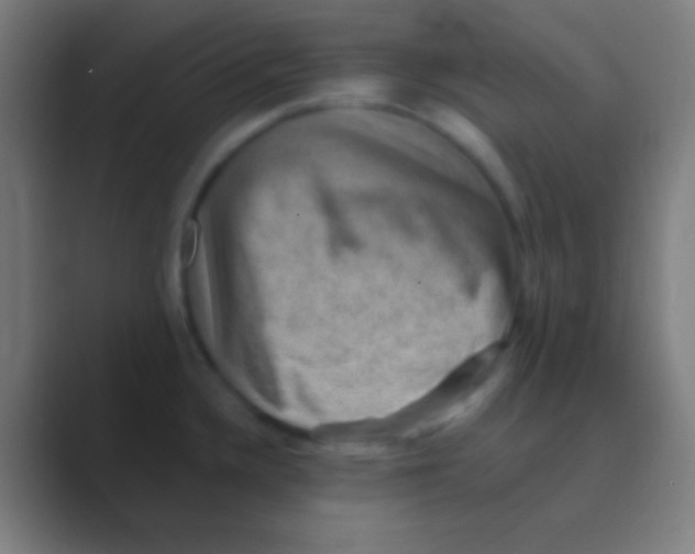 X0000088731336200706282116