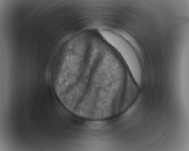 X0000088731337200706282116