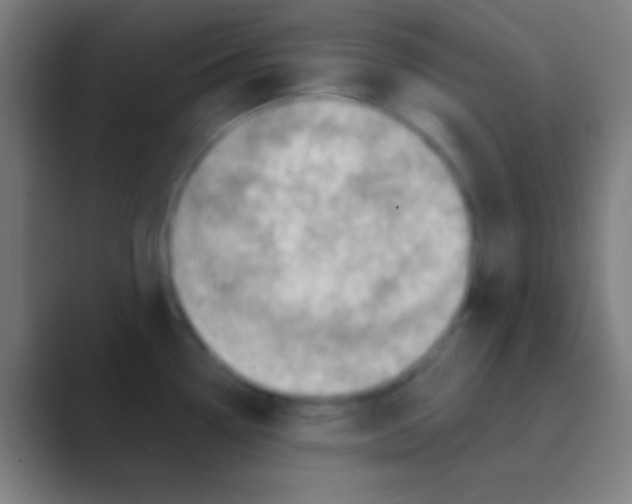 X0000088731338200706282116