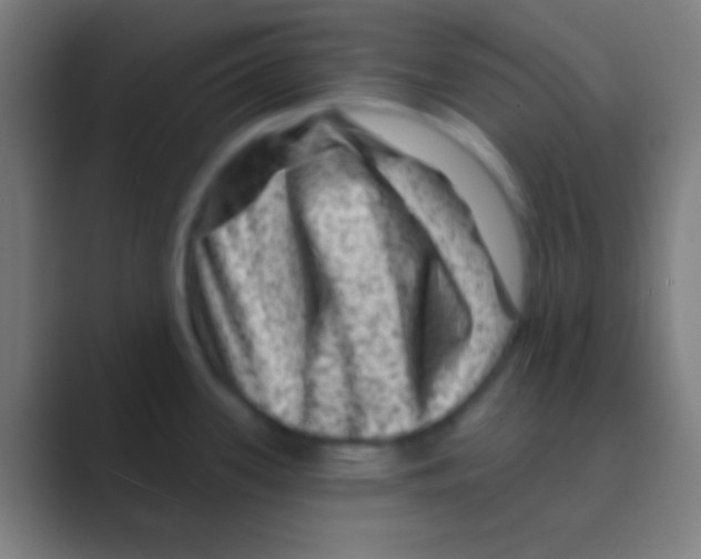 X0000088731339200706282116