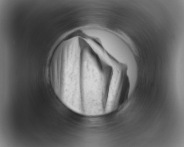 X0000088731340200706282116