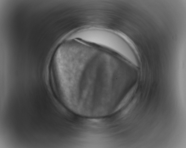 X0000088731341200706282116