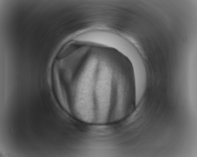 X0000088731342200706282116