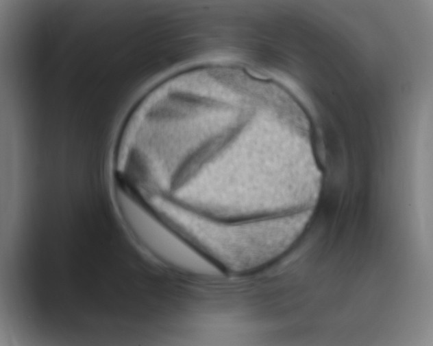 X0000088731343200706282116