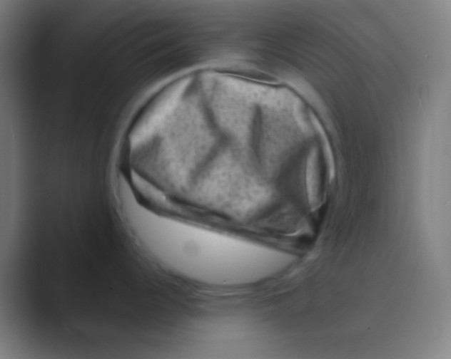 X0000088731344200706282116