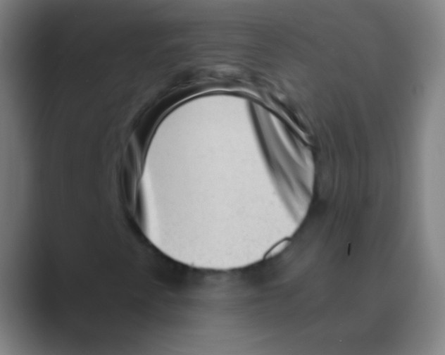 X0000088731345200706282116