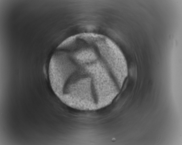 X0000088731347200706282116