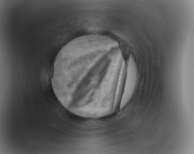 X0000088731348200706282116