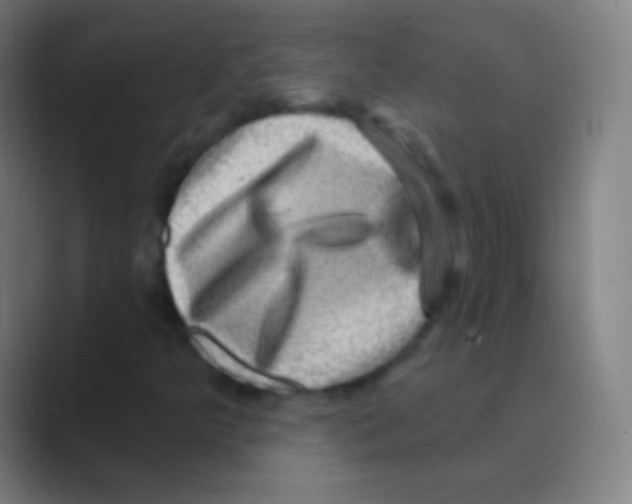 X0000088731349200706282116