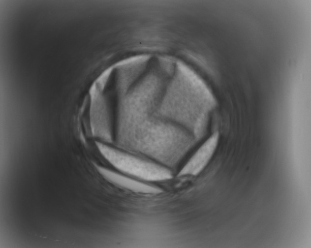 X0000088731350200706282116