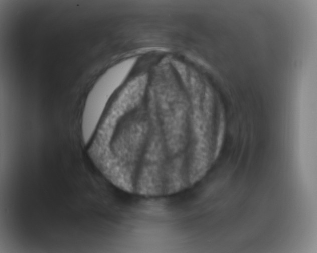 X0000088731351200706282116