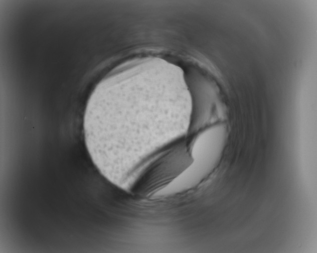 X0000088731352200706282116