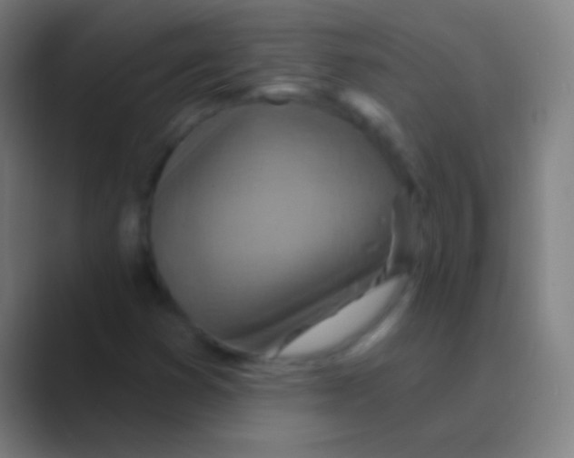 X0000088731353200706282116