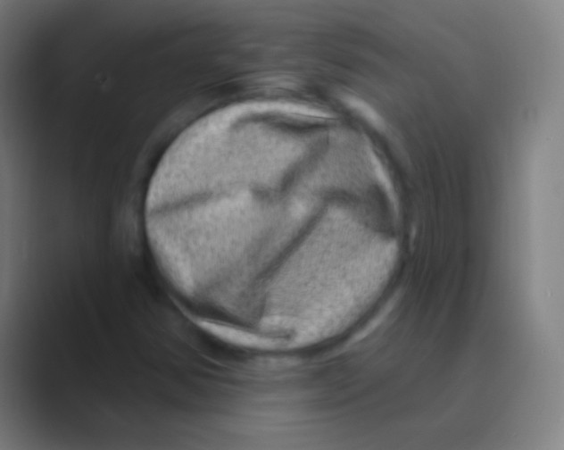 X0000088731354200706282116