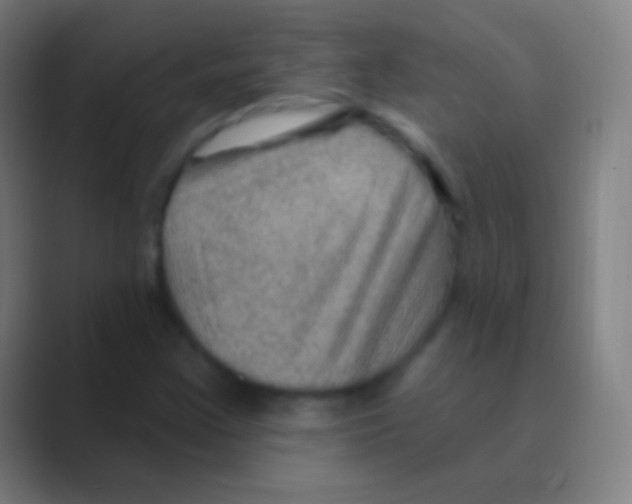 X0000088731355200706282115