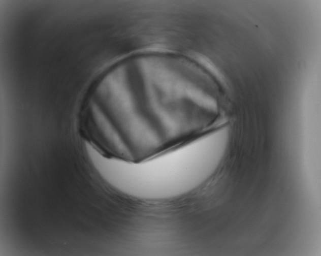 X0000088731356200706282115