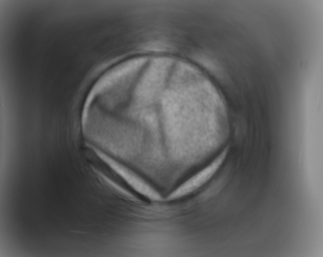 X0000088731358200706282115