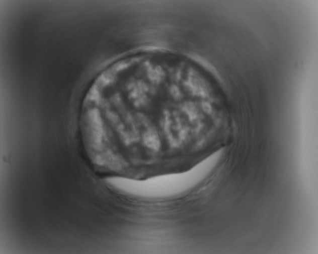 X0000088731359200706282115