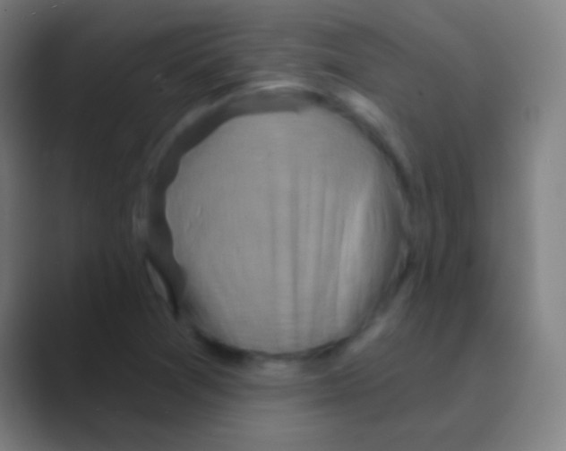 X0000088731361200706282115