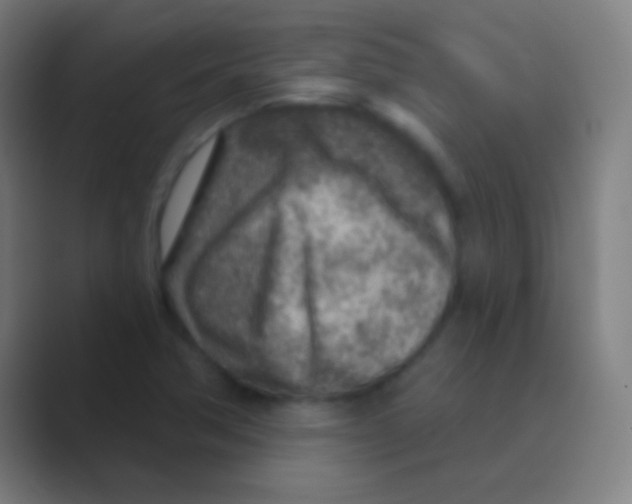 X0000088731362200706282115