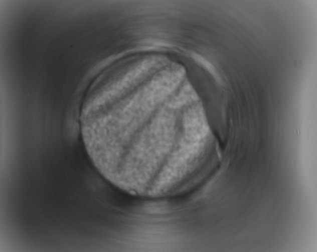 X0000088731363200706282115