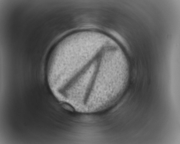 X0000088731364200706282115