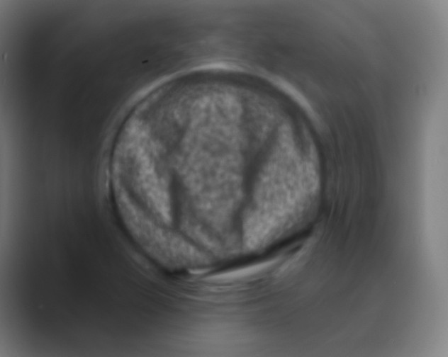 X0000088731367200706282115