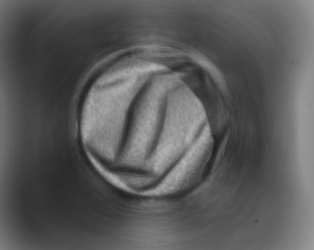 X0000088731368200706282115