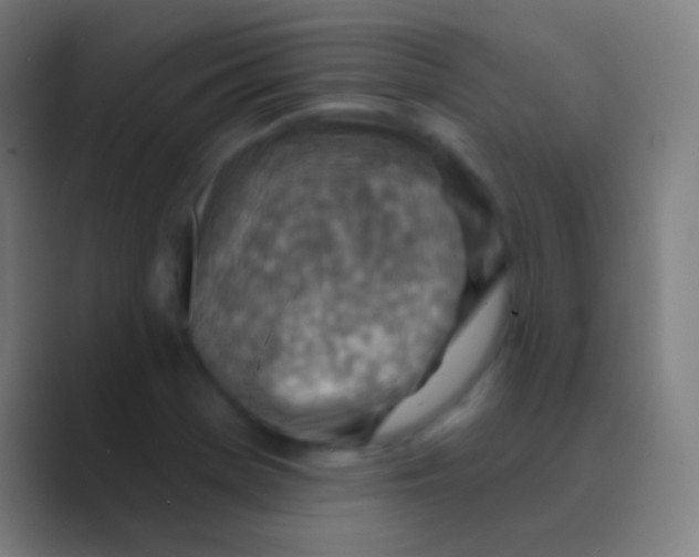 X0000088731369200706282115