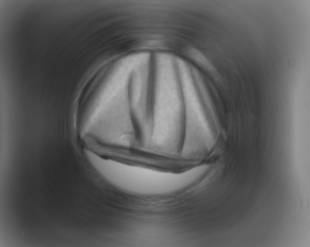 X0000088731370200706282115