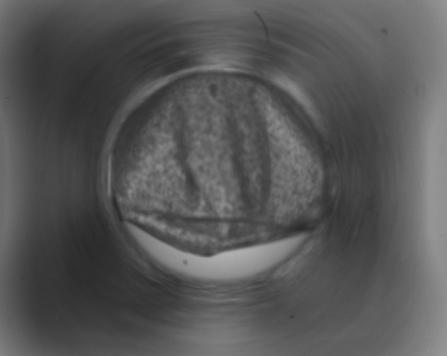 X0000088731371200706282115