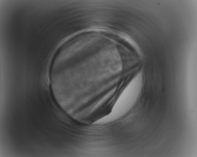 X0000088731372200706282115