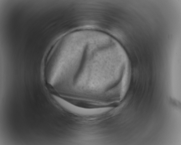 X0000088731374200706282115