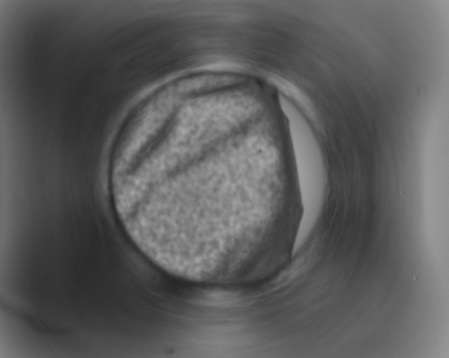 X0000088731375200706282115