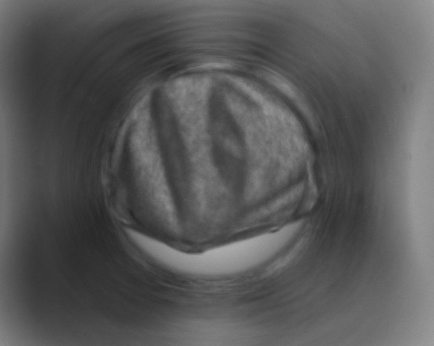 X0000088731377200706282115