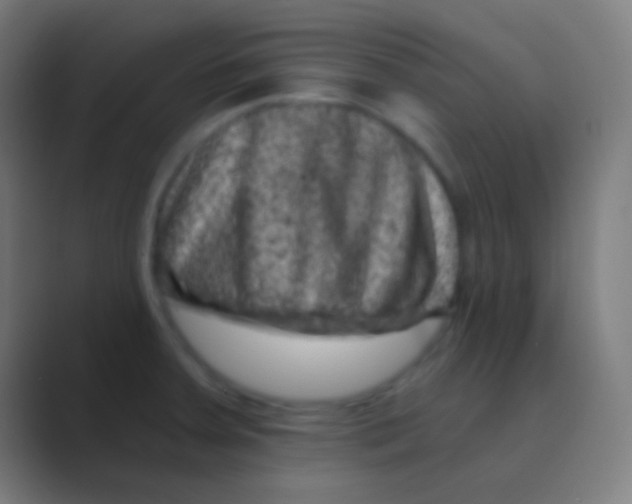 X0000088731379200706282115