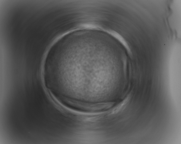 X0000088731381200706282115