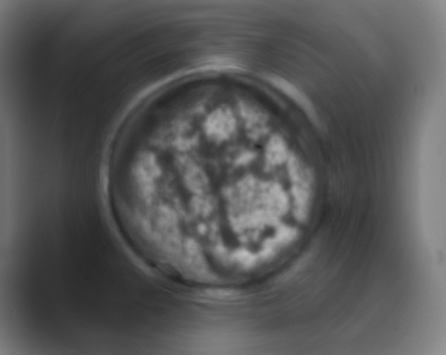 X0000088731383200706282115