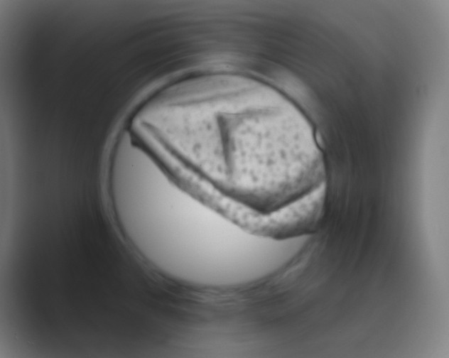 X0000088731384200706282115