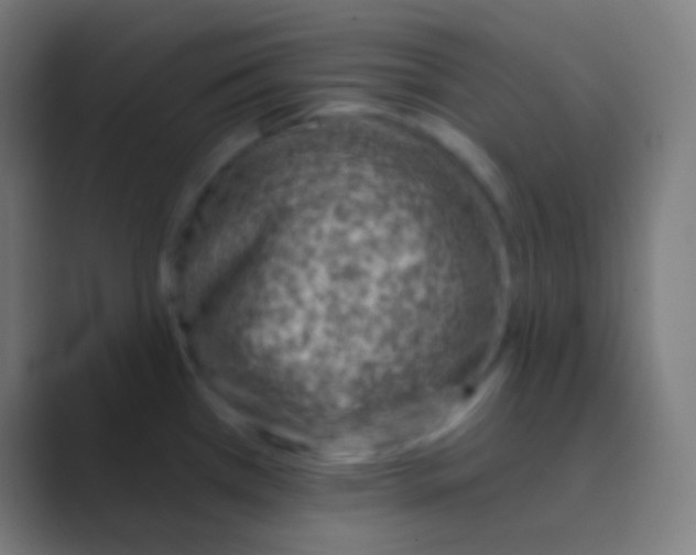 X0000088731385200706282115