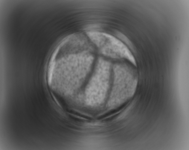 X0000088731386200706282115