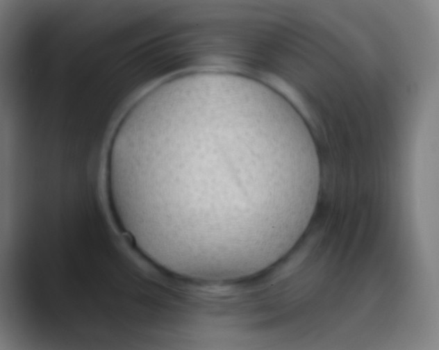 X0000088731387200706282115