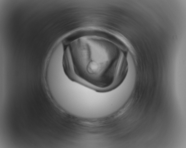 X0000088731388200706282115