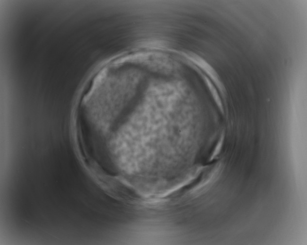 X0000088731389200706282115