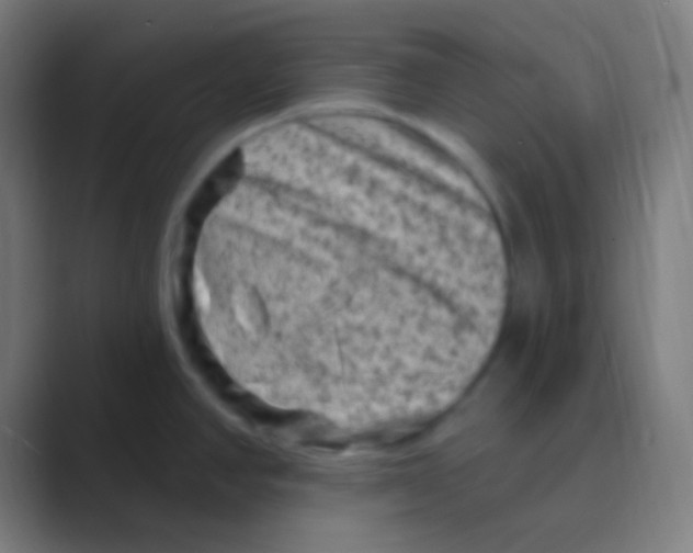 X0000088731390200706282115