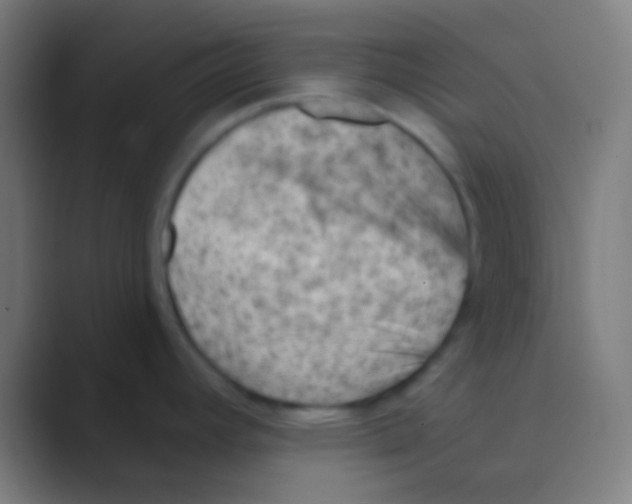 X0000088731392200706282115